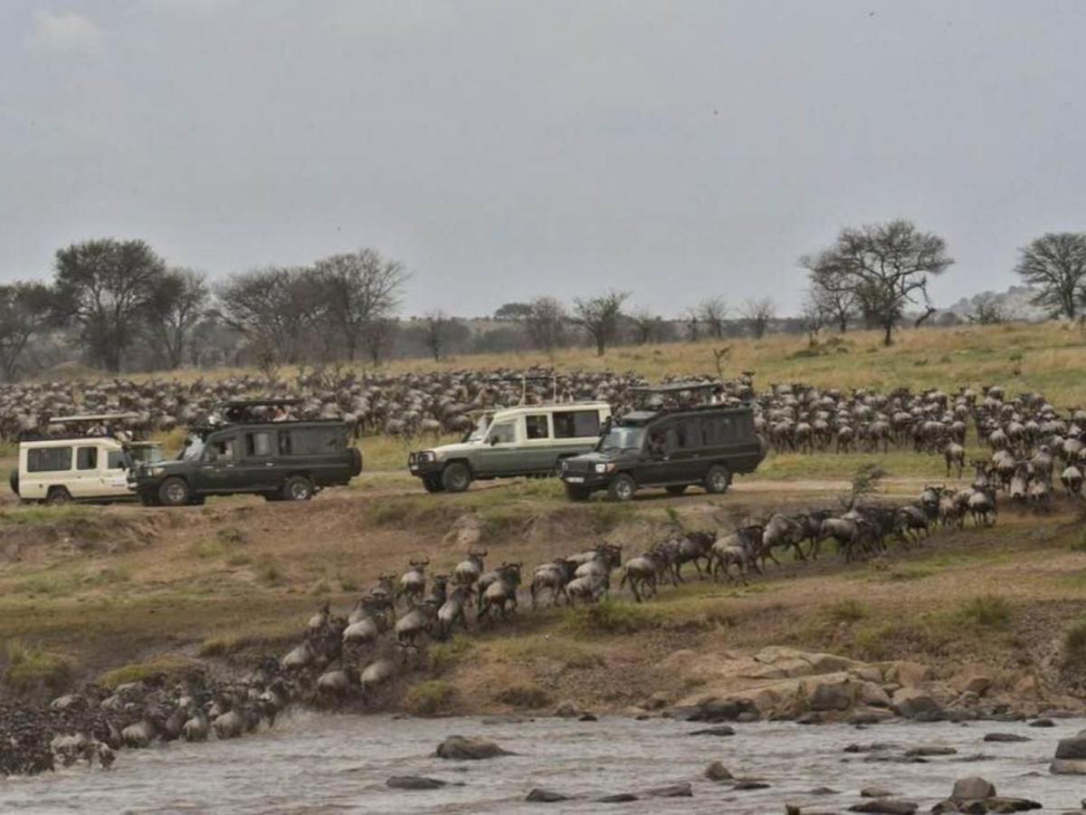 Serengeti Kifaru Tented Lodge Mugumu Bagian luar foto