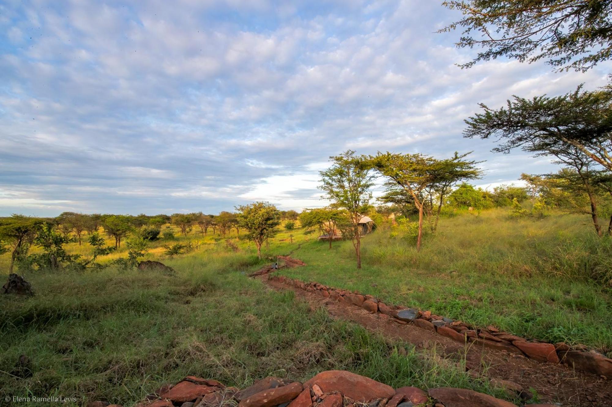 Serengeti Kifaru Tented Lodge Mugumu Bagian luar foto