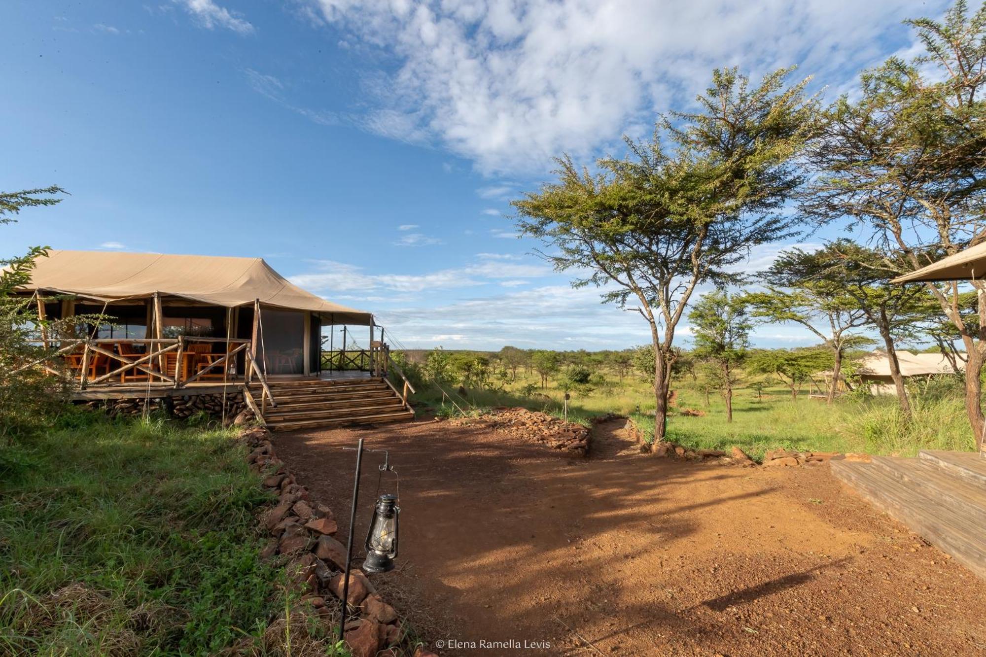 Serengeti Kifaru Tented Lodge Mugumu Bagian luar foto